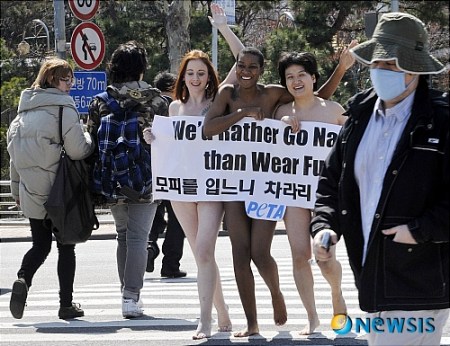 peta-protest-in-seoul-ed8e98ed8380-ec9ab8ec849c