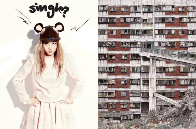 Korea Single Households